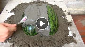 Mini Fish Pond With Watermelon