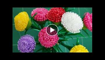 How To Make Colorful Portulaca Grandiflora Flowers